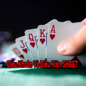 LOGO BÀI VIẾT ĐIÈU KHOẢN VÀ ĐIỀU KIỆN SHBET